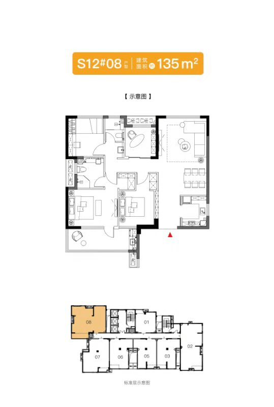 张宏良博客文章解读与展望，深度剖析最新文章内容