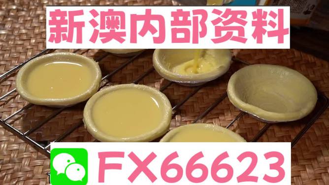 新澳精准资料免费提供网站,动态词语解释落实_标准版1.292