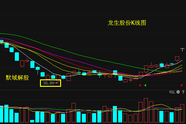 龙生股份股票最新消息全面解读与分析