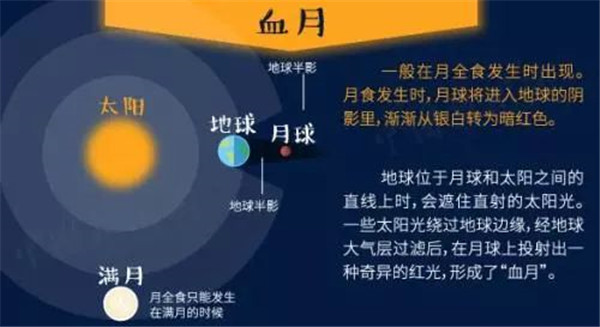 2024年今晚开奖结果查询,深入执行方案设计_Harmony款60.397