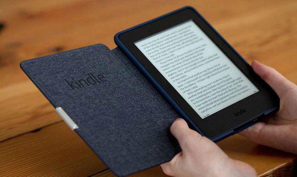 新澳姿料正版免费资料,实时说明解析_Kindle21.377