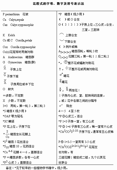 118开奖站一一澳门,最新答案解释定义_kit99.667