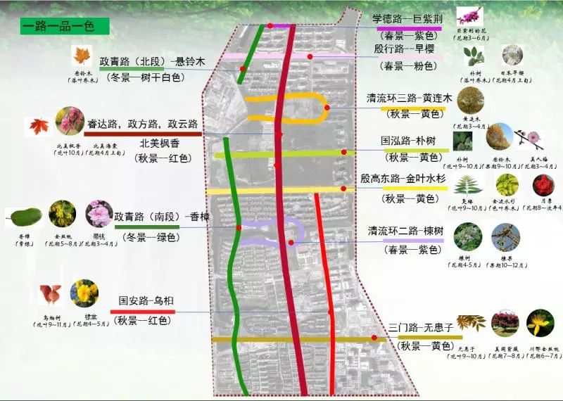 殷行路规划最新动态，重塑城市脉络，引领未来发展之路