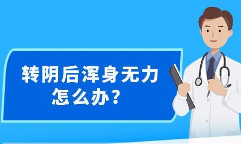 新澳精准资料免费提供,深层数据应用执行_V37.118