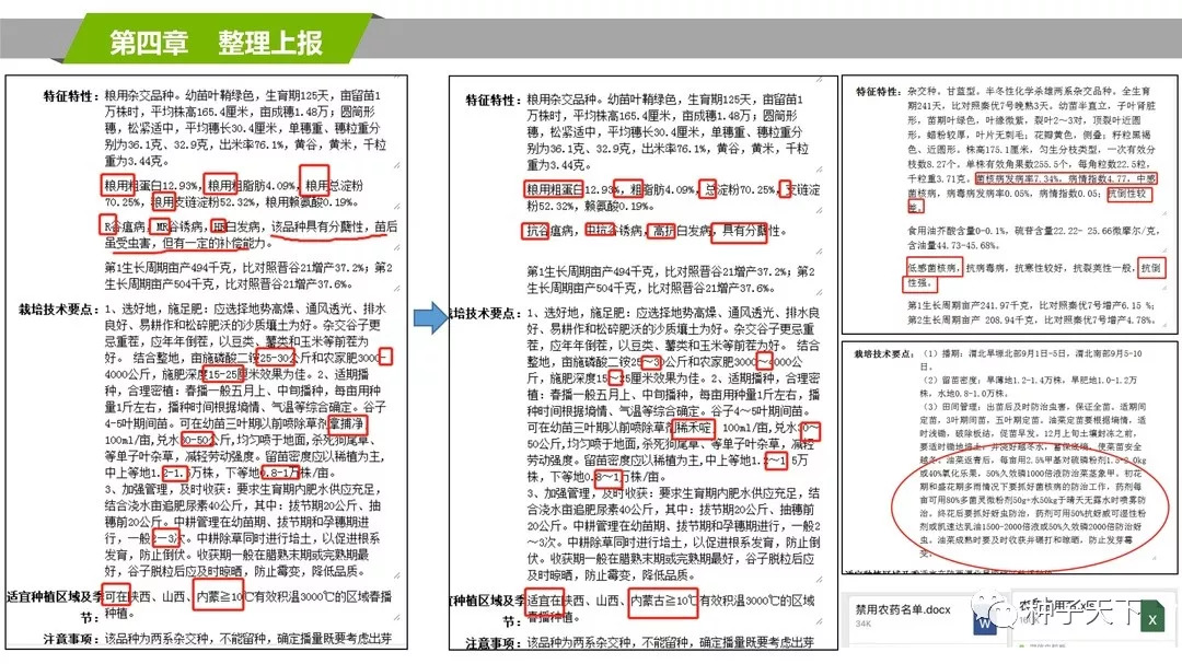 新澳门最新开奖结果记录历史查询,权威解答解释定义_NE版99.743