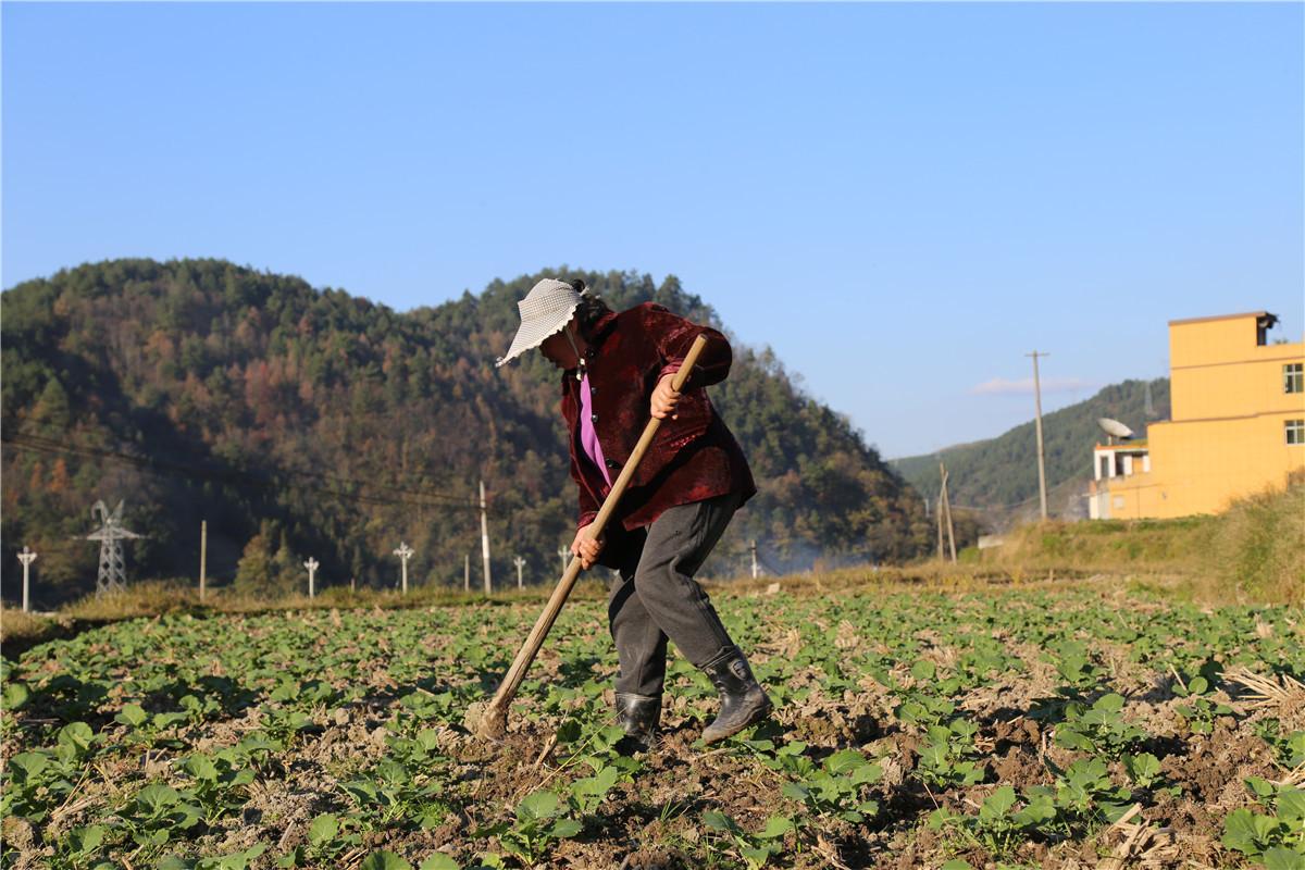 贵定县住房和城乡建设局项目最新进展报告概览