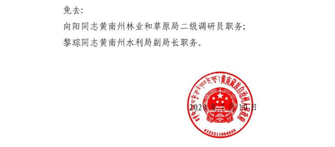 中庆村委会人事大调整，推动村级治理迈向新台阶