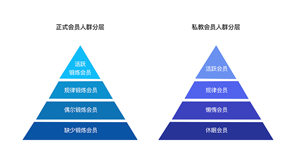 澳门天天彩期期精准,精细定义探讨_Executive44.650