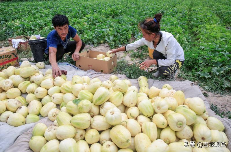 呼和车力蒙古族乡新闻动态与地方发展概览