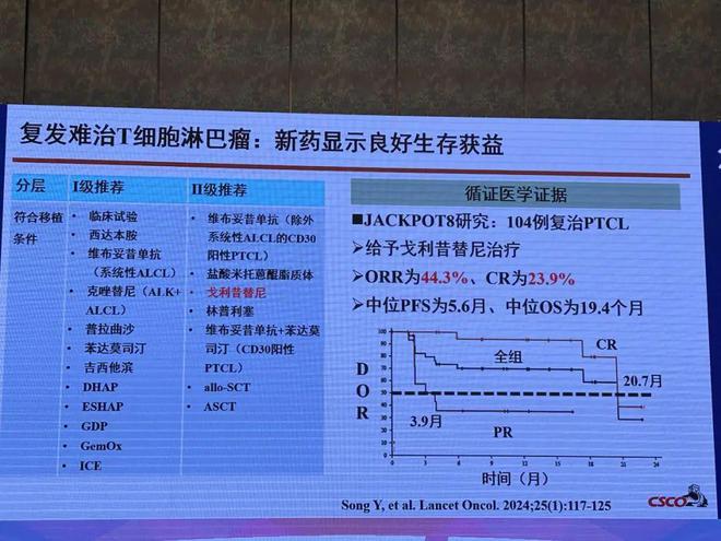 管家婆2024正版资料大全,综合评估解析说明_T26.660