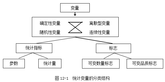 新澳门今晚精准一肖,统计分析解释定义_C版77.724