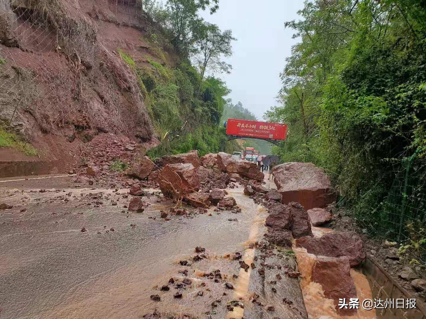 罗江县住房和城乡建设局最新发展规划概览