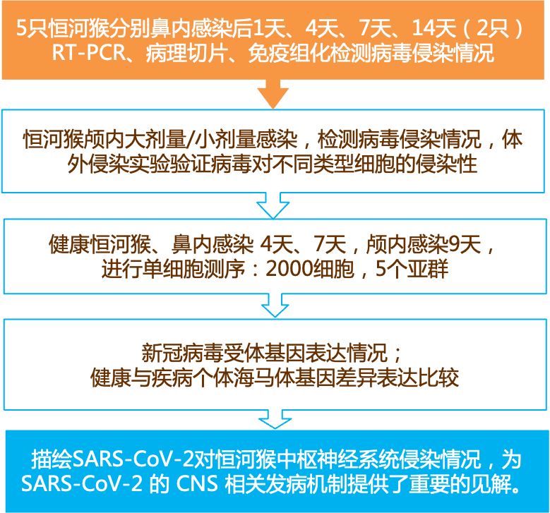 2024新奥正版资料免费提供,实效性解析解读策略_XE版10.912