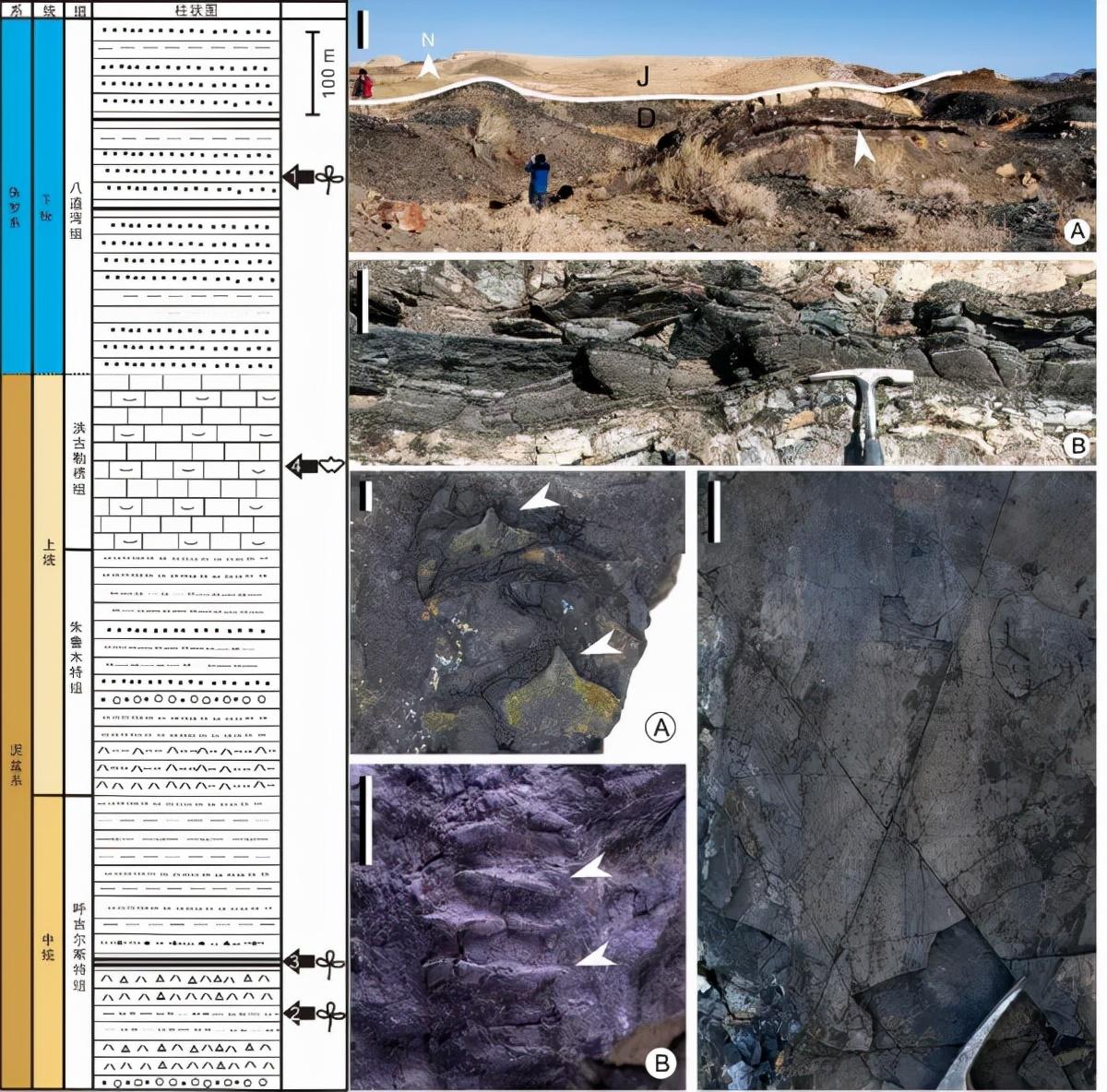 塔城地区市社会科学院最新招聘信息解读及应聘指南