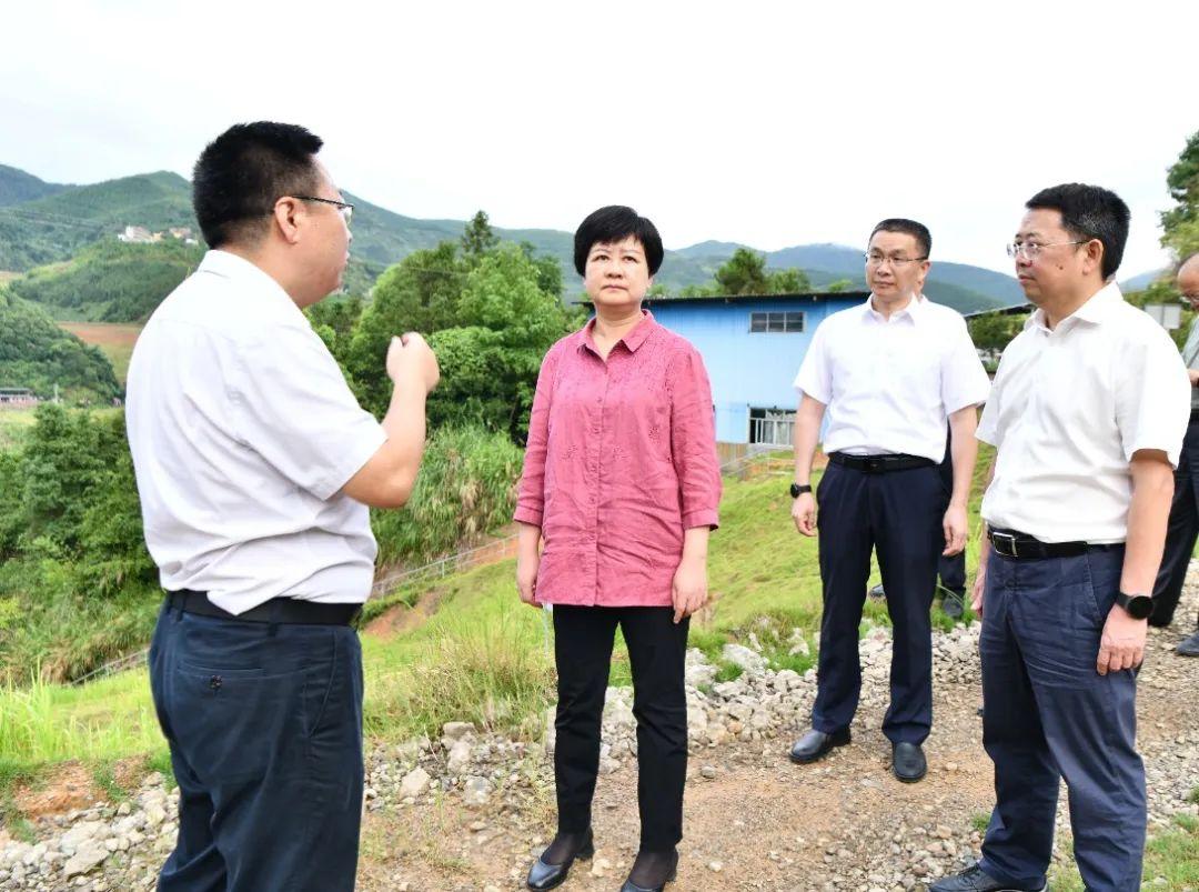 水南镇新项目，引领地方发展的强大新动力