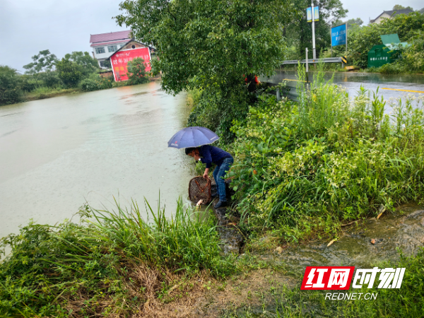 蔡锷乡交通建设日新月异，助力地方经济腾飞新动态