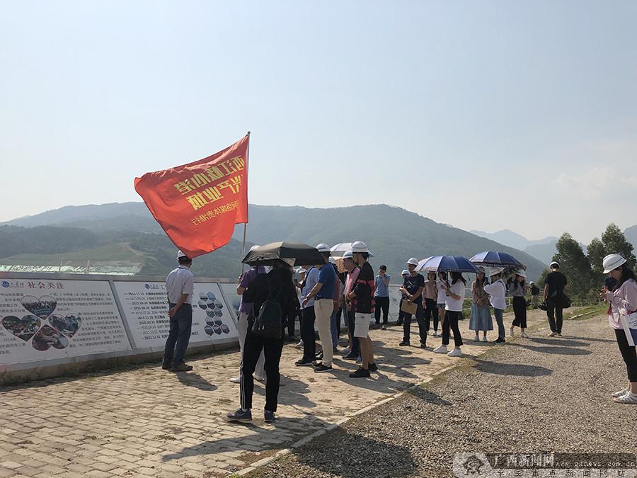 月田镇最新项目，引领地方发展的强大新动力