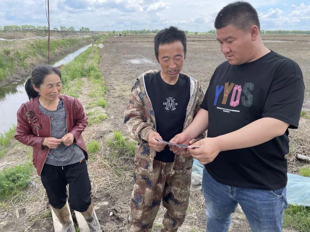 岔林河农场最新新闻概览