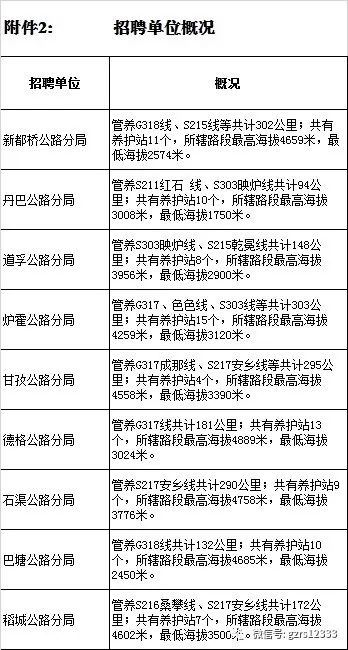 2024年12月17日 第12页