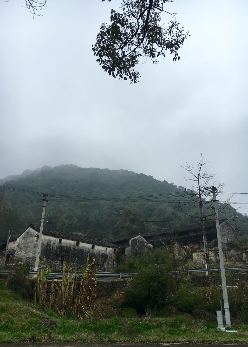 门村镇天气预报更新通知