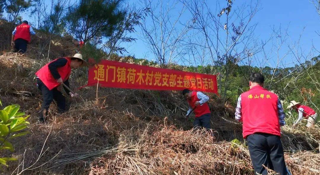 通门镇未来繁荣蓝图，最新发展规划揭秘