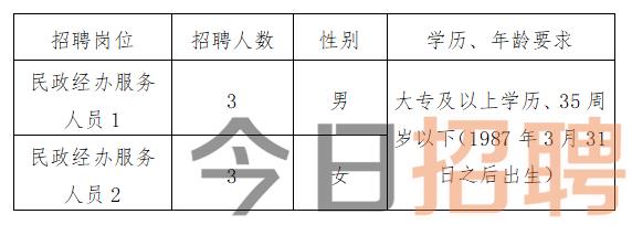 寿宁县应急管理局最新招聘启事概览