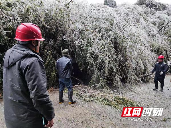 荆竹瑶族乡迈向繁荣和谐新时代的规划展望