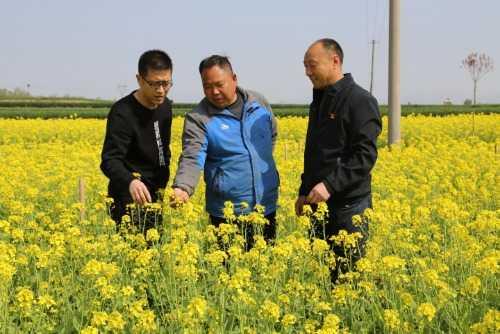 菜籽地村见证乡村发展步伐，最新新闻报道