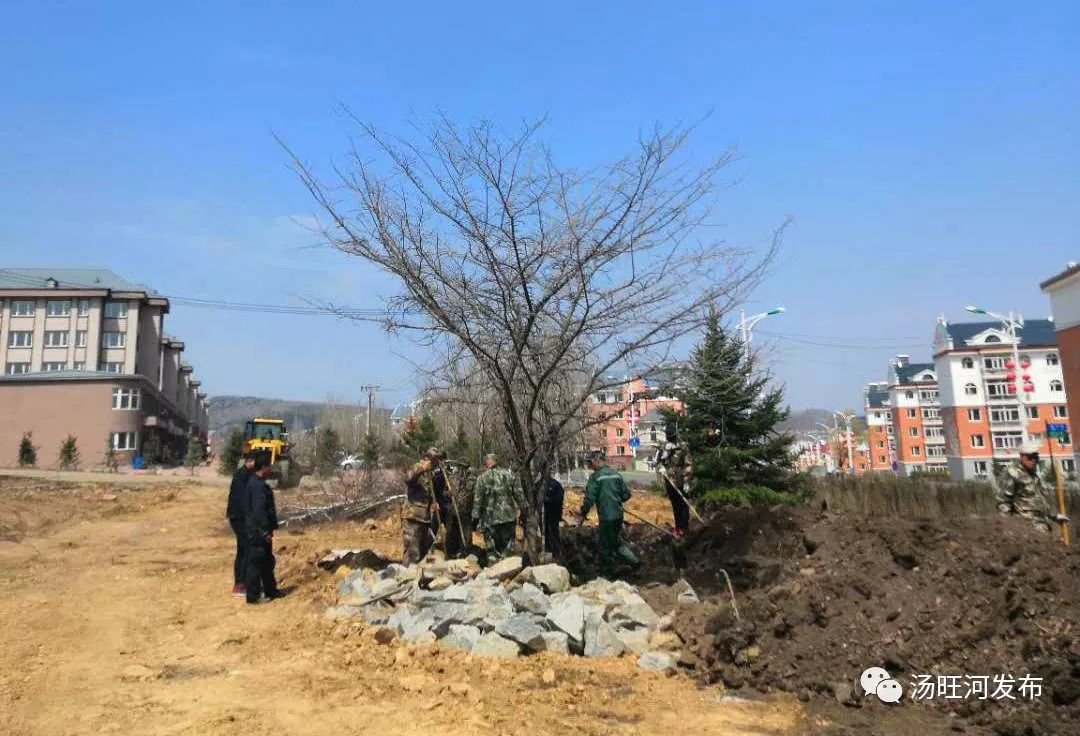 汤旺河区住建局最新项目研究报告揭秘