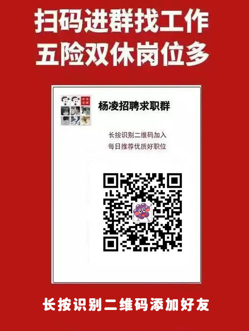 杨运镇最新招聘信息汇总