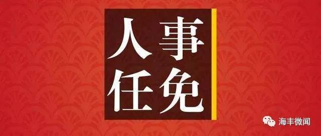 海丰县文化局人事任命最新动态与未来展望