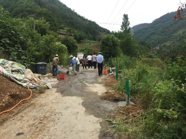 张坪村民委员会乡村道路升级改造，村民出行更便捷，最新交通新闻解读