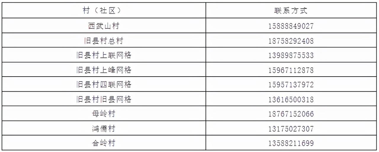 百江镇最新新闻报道概述，揭秘当地时事热点