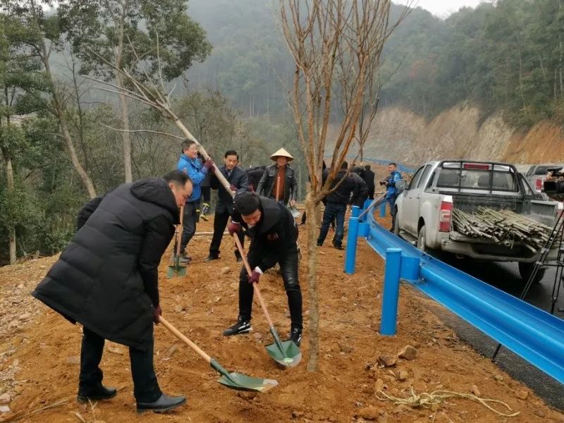 富阳市农业农村局新项目推动农业现代化助力乡村振兴