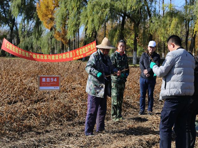 名山农场最新动态报道