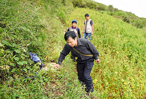 塔嘎村新领导引领村庄开启崭新篇章