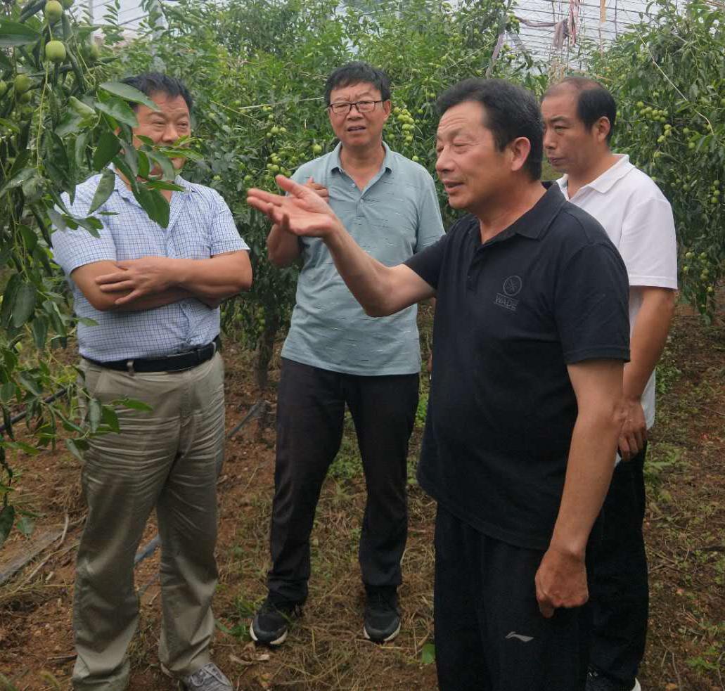 木兰县住房和城乡建设局发展规划概览